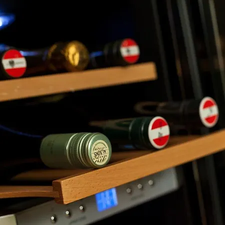 格林公寓 - 豪华公寓 *